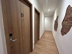Lavender Street (D12), Apartment #508288141